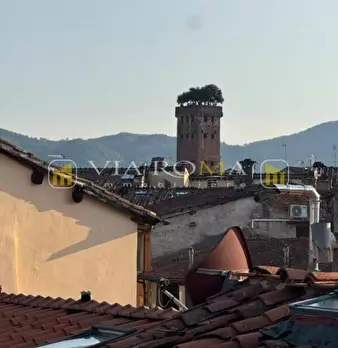 Foto annuncio 11