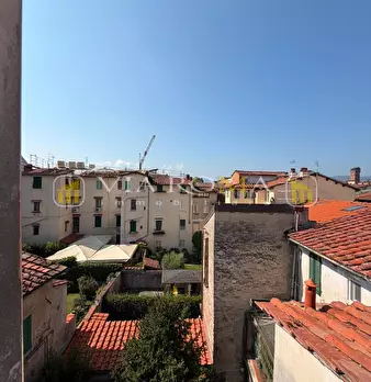 Foto annuncio 31
