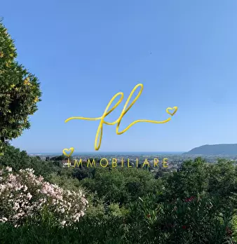 Foto annuncio 57
