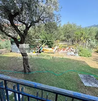 Foto annuncio 45