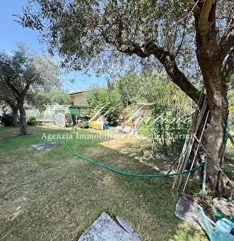Foto annuncio 46
