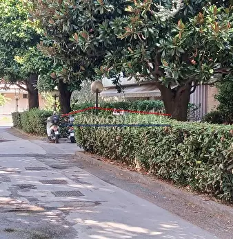 Foto annuncio 19