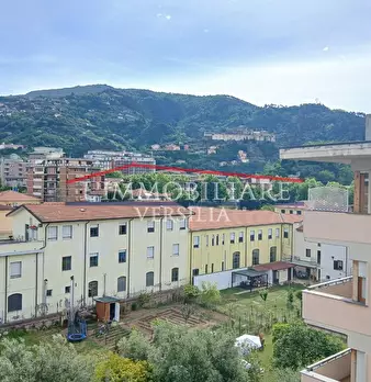 Foto annuncio 12