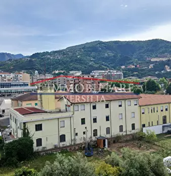 Foto annuncio 13
