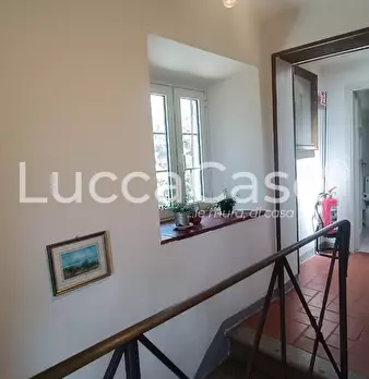 Foto annuncio 41