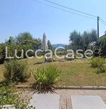 Foto annuncio 8