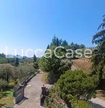 Foto annuncio 47