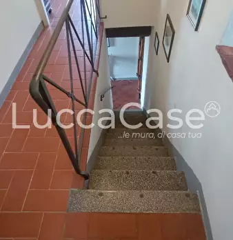 Foto annuncio 39