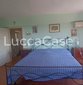 Foto annuncio 36