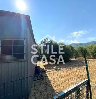 Foto annuncio 11