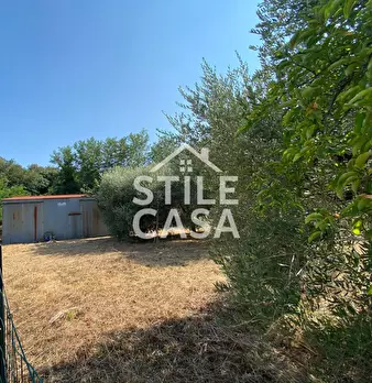 Foto annuncio 5