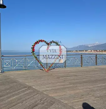 Foto annuncio 24