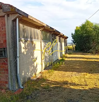 Foto annuncio 11