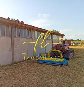 Foto annuncio 2