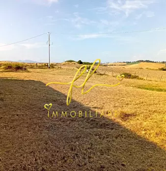 Foto annuncio 10