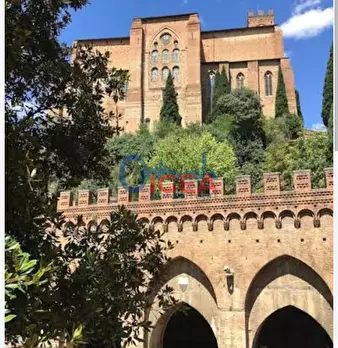 Foto annuncio 12