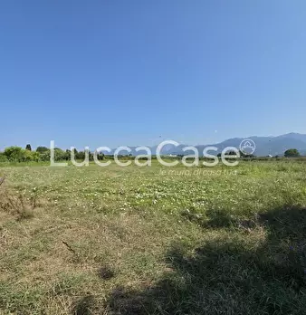 Foto annuncio 13