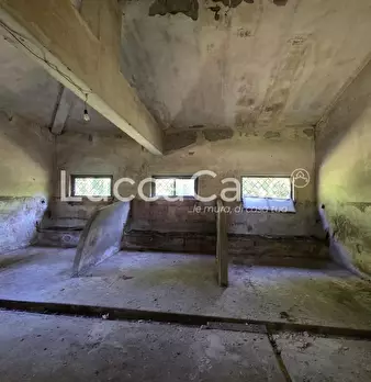 Foto annuncio 15