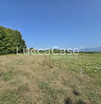 Foto annuncio 12