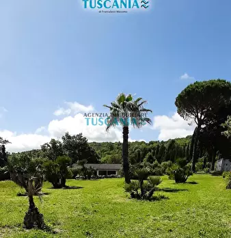 Foto annuncio 38