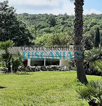 Foto annuncio 37