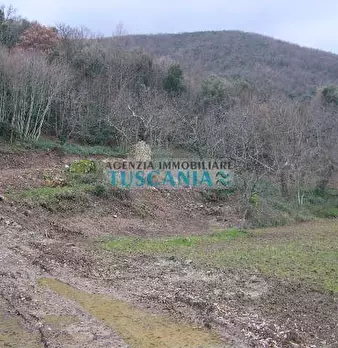 Foto annuncio 11