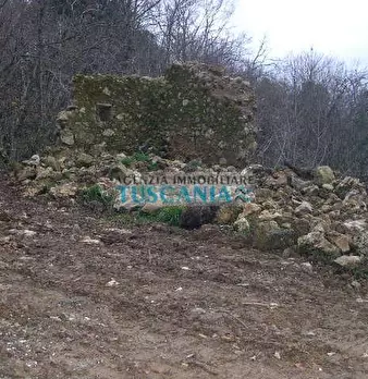 Foto annuncio 12