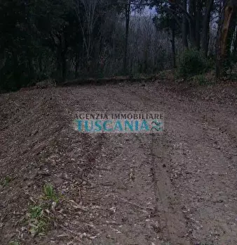 Foto annuncio 7