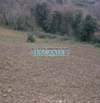 Foto annuncio 6
