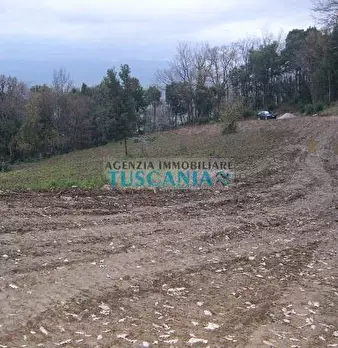 Foto annuncio 4