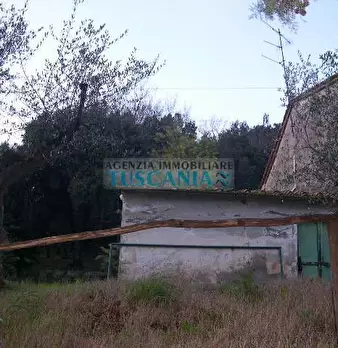 Foto annuncio 4