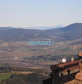 Foto annuncio 42