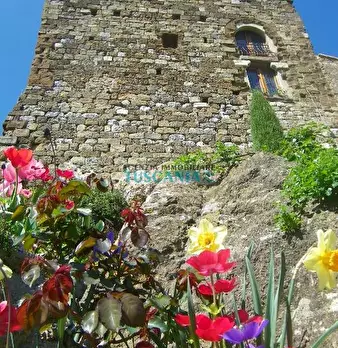 Foto annuncio 12