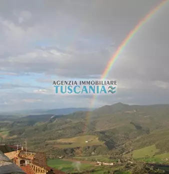 Foto annuncio 41
