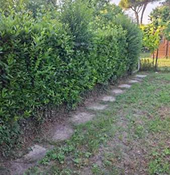 Foto annuncio 27