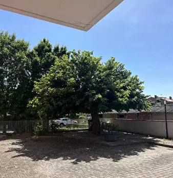 Foto annuncio 8