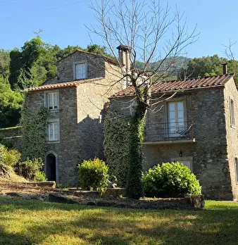 Foto annuncio 1
