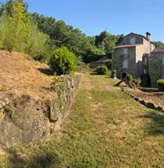 Foto annuncio 72
