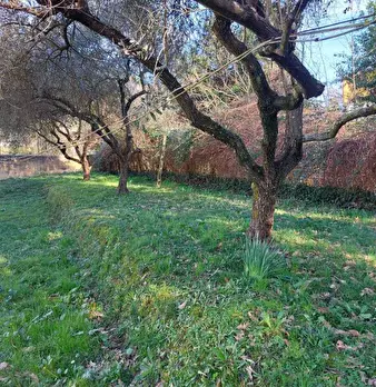Foto annuncio 16