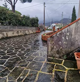Foto annuncio 38