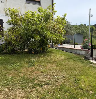 Foto annuncio 16