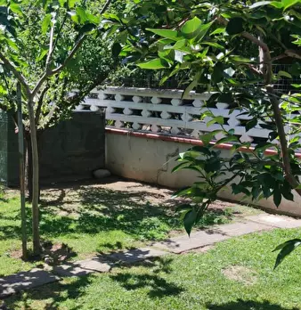 Foto annuncio 12