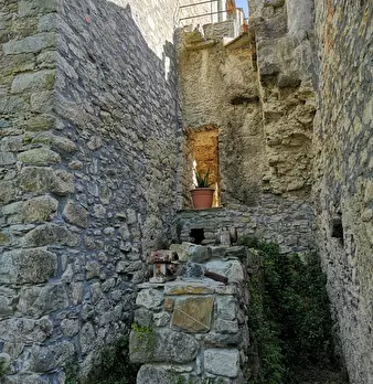 Foto annuncio 19
