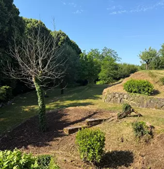 Foto annuncio 74
