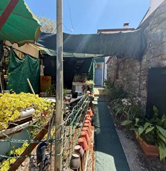 Foto annuncio 36