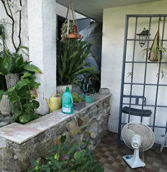 Foto annuncio 29