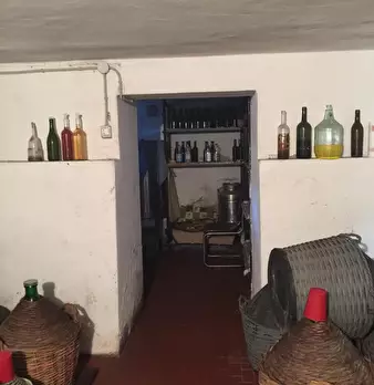Foto annuncio 40