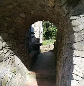 Foto annuncio 38