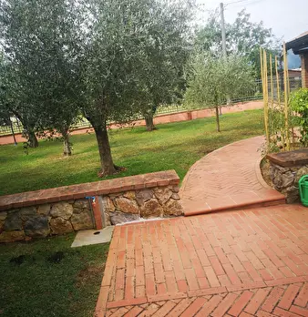 Foto annuncio 28