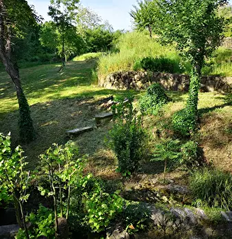 Foto annuncio 34